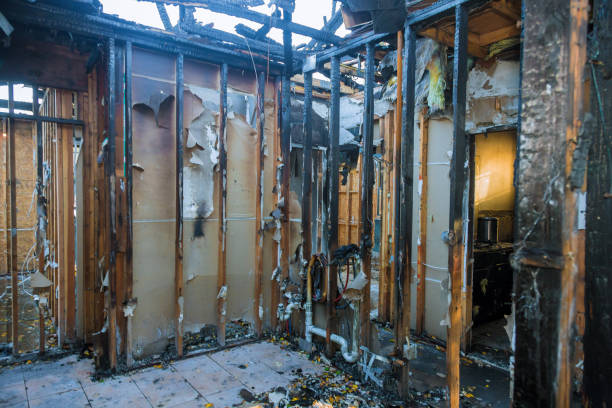 Professional Fire Damage Removal technician working in Wyoming, OH